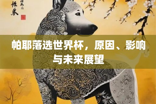 帕耶落选世界杯，原因、影响与未来展望