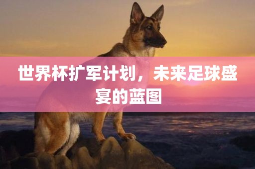 世界杯扩军计划，未来足球盛宴的蓝图丹东日丰电子有限公司