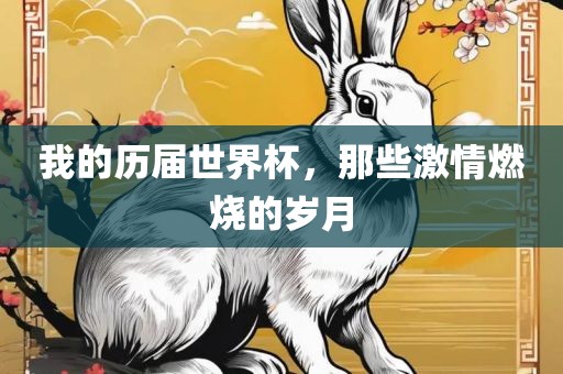 我的历届世界杯，那些激情燃烧的岁月