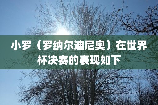 小罗（罗纳尔迪尼奥）在世界杯决赛的表现如下