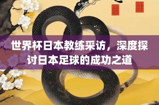 世界杯日本教练采访，深度探讨日本足球的成功之道