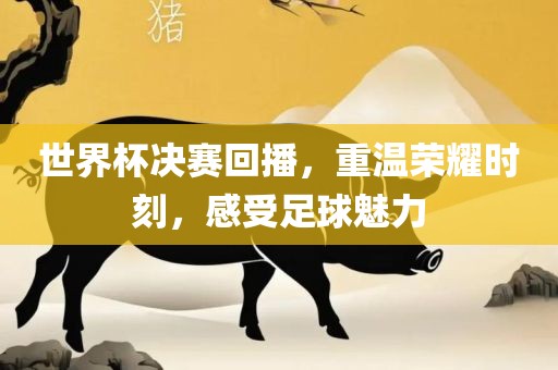世界杯决赛回播，重温荣耀时刻，感受足球魅力