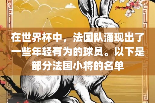 在世界杯中，法国队涌现出了一些年轻有为的球员。以下是部分法国小将的名单