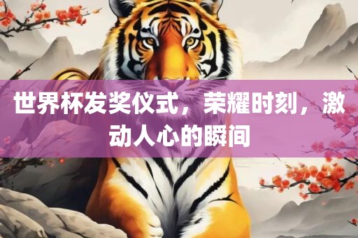 世界杯发奖仪式，荣耀时刻，激动人心的瞬间丹东日丰电子有限公司
