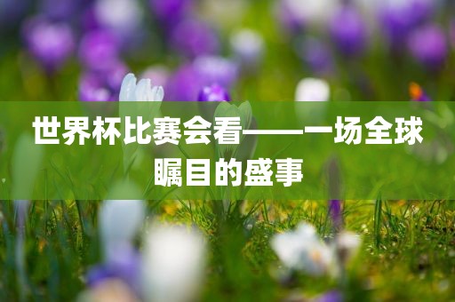 世界杯比赛会看——一场全球瞩目的盛事