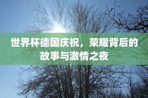 世界杯德国庆祝，荣耀背后的故事与激情之夜