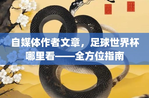 自媒体作者文章，足球世界杯哪里看——全方位指南