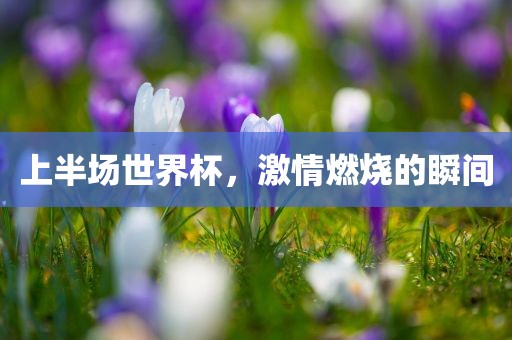 上半场世界杯，激情燃烧的瞬间