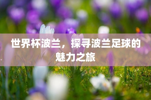世界杯波兰，探寻波兰足球的魅丹东日丰电子有限公司力之旅