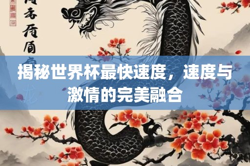揭秘世界杯最快速度，速度与激情的完美融合