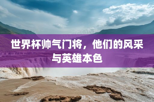 世界杯帅气门将，他们的风采与英雄本色