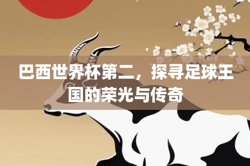 巴西世界杯第二，探寻足球王国的荣光与传奇