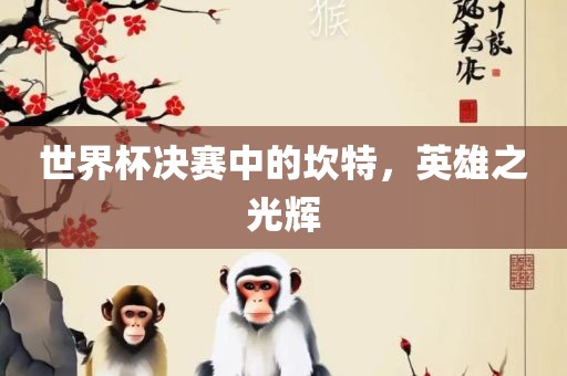 世界杯决赛中的坎特，英雄之光辉