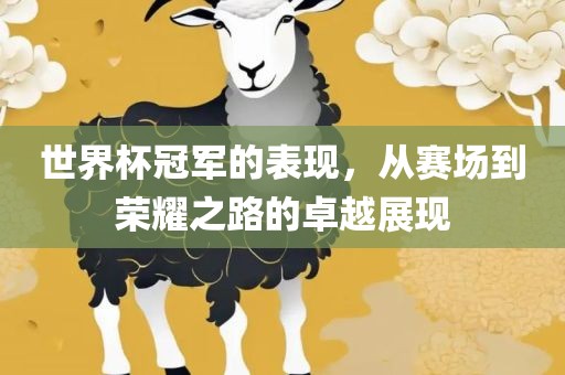 世界杯冠军的表现，从赛场到荣耀之路的卓越展现