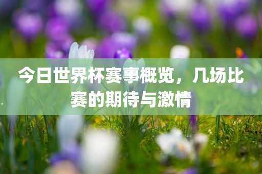 今日世界杯赛事概览，几场比赛的期待与激情