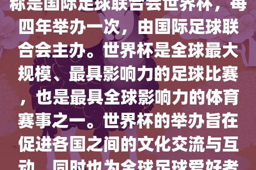 世界杯是一项国际足球赛事，全称是国际足球联合会世界杯，每四年举办一次，由国际足球联合会主办。世界杯是全球最大规模、最具影响力的足球比赛，也是最具全球影响力的体育赛事之一。世界杯的举办旨在促进各国之间的文化交流与互动，同时也为全球足球爱好者带来一场精彩的足球盛宴。