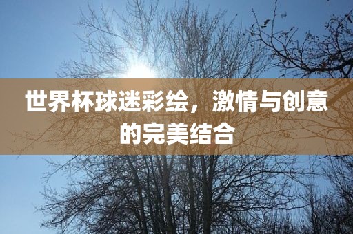 世界杯球迷彩绘，激情与创意的完美结合