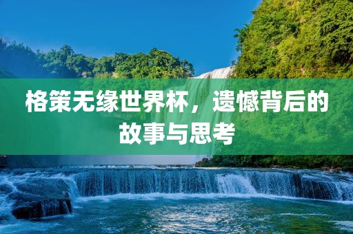 格策无缘世界杯，遗憾背后的故事与思考