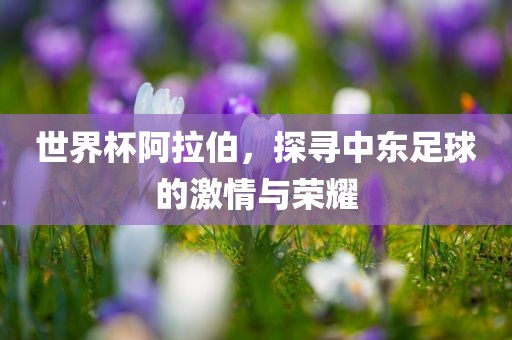 世界杯阿拉伯，探寻中东足球的激情与荣耀