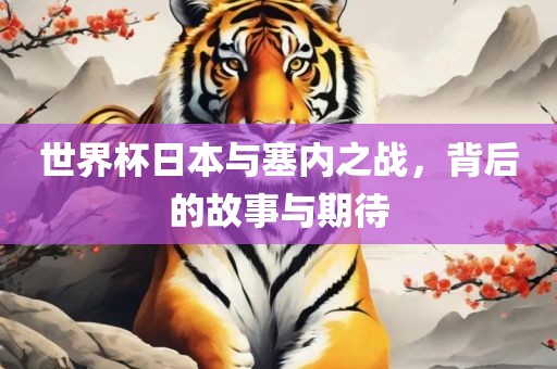 世界杯日本与塞内之战，背后的故事与期待