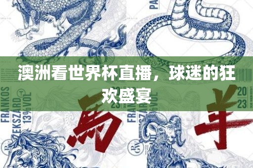 澳洲看世界杯直播，球迷的狂欢盛宴