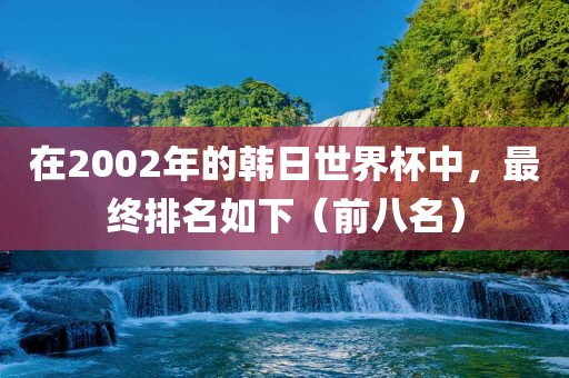 在2002年的韩日世界杯中，最终排名如下（前八名）