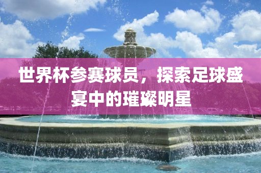 世界杯参赛球员，探索足球盛宴中的璀璨明星