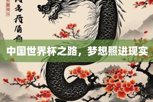 中国世界杯之路，梦想照进现实