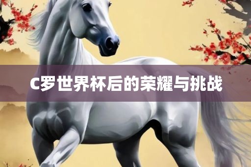 C罗世界杯后的荣耀与挑战