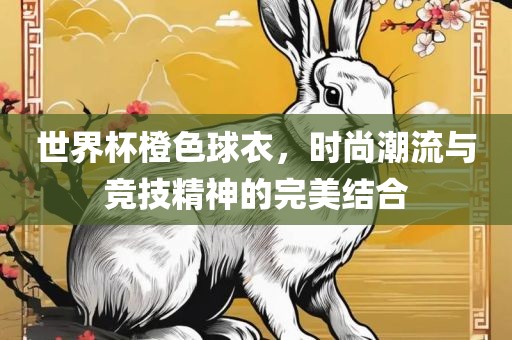世界杯橙色球衣，时尚潮流与竞技精神的完美结合