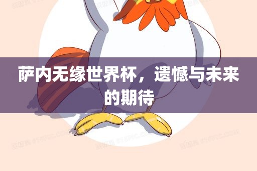 萨内无缘世界杯，遗憾与未来的期待