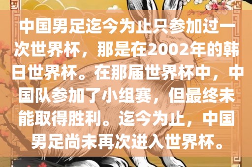 中国男足迄今为止只参加过一次世界杯，那是在2002年的韩日世界杯。在那届世界杯中，中国队参加了小组赛，但最终未能取得胜利。迄今为止，中国男足尚未再次进入世界杯。