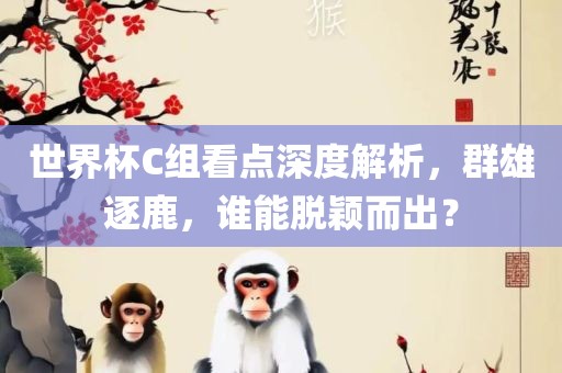 世界杯C组看点深度解析，群雄逐鹿，谁能脱颖而出？