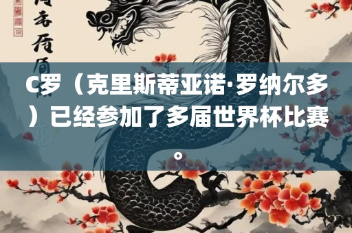 C罗（克里斯蒂亚诺·罗纳尔多）已经参加了多届世界杯比赛。