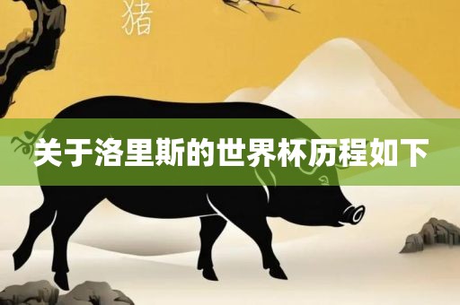关于洛里斯的世界杯历程如下
