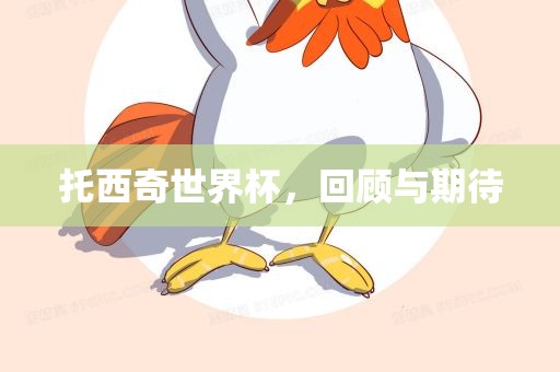 托西奇世界杯，回顾与期待