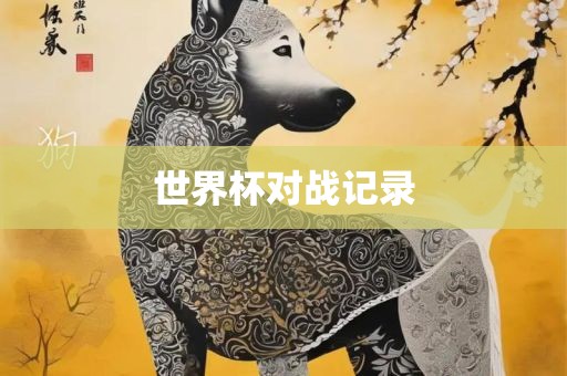 世界杯对战记录