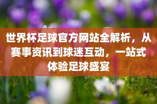 世界杯足球官方网站全解析，从赛事资讯到球迷互动，一站式体验足球盛宴