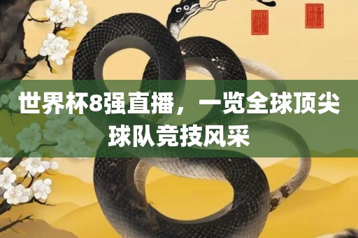 世界杯8强直播，一览全球顶尖球队竞技风采