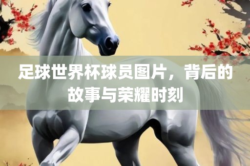 足球世界杯球员图片，背后的故事与荣耀时刻