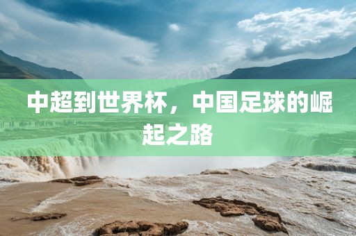 中超到世界杯，中国足球的崛起之路