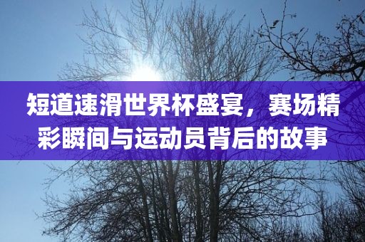 短道速滑世界杯盛宴，赛场精彩瞬间与运动员背后的故事