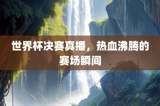 世界杯决赛真播，热血沸腾的赛场瞬间