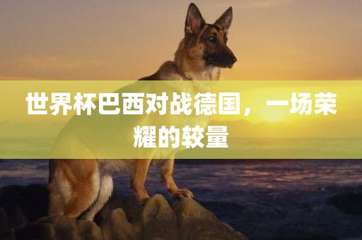 世界杯巴西对战德国，一场荣耀的较量