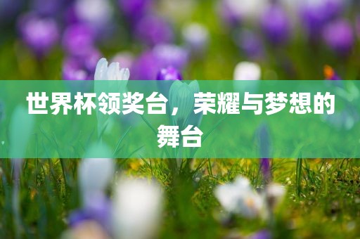 世界杯领奖台，荣耀与梦想的舞台
