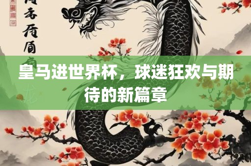 皇马进世界杯，球迷狂欢与期待的新篇章