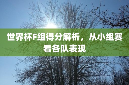 世界杯F组得分解析，从小组赛看各队表现