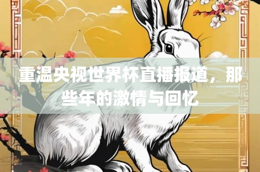 重温央视世界杯直播报道，那些年的激情与回忆
