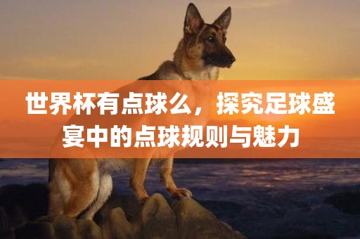 世界杯有点球么，探究足球盛宴中的点球规则与魅力