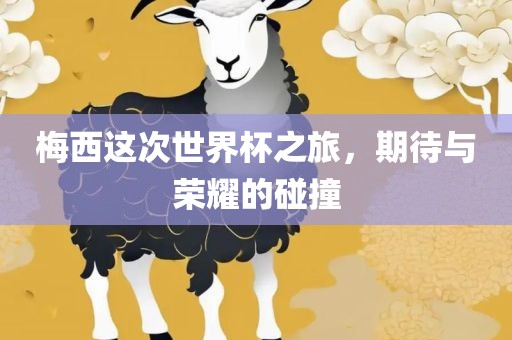 梅西这次世界杯之旅，期待与荣耀的碰撞